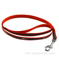 Colors Durable Nylon Belts Walking Training Dog Leashes